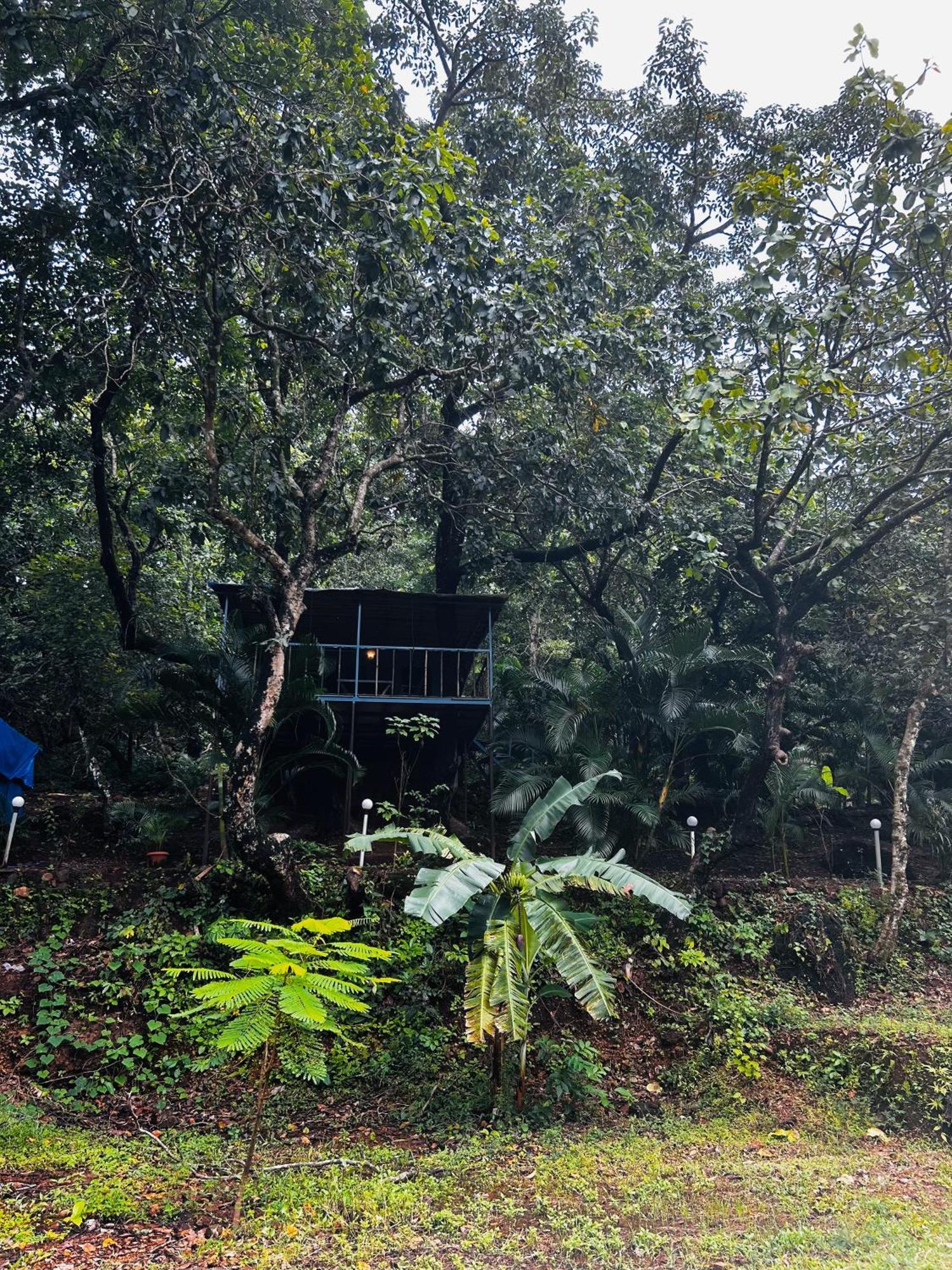 Cola Samyama Retreat酒店 外观 照片