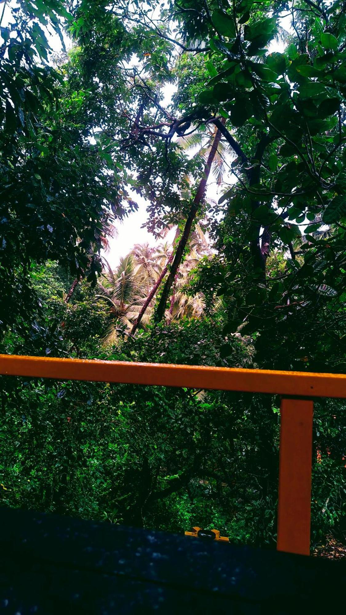 Cola Samyama Retreat酒店 外观 照片